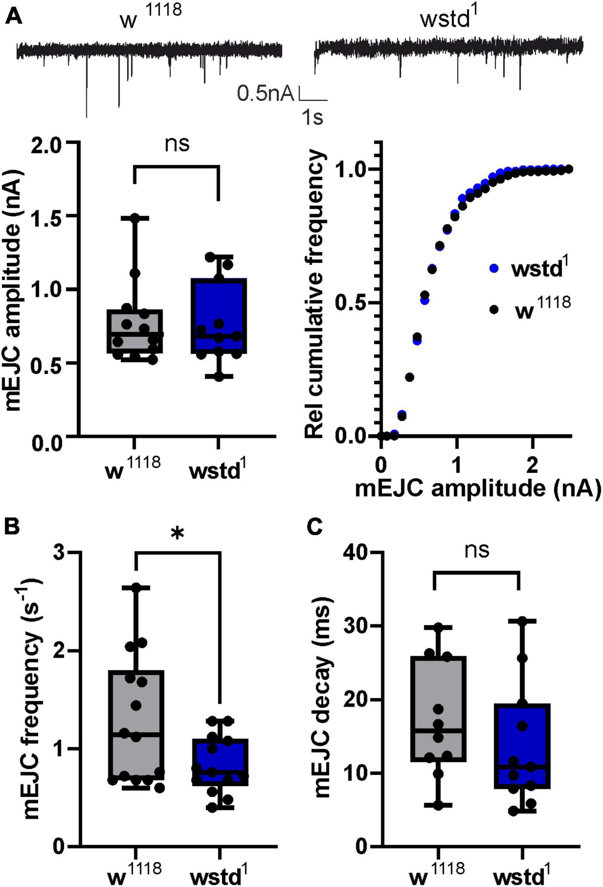 Triose-phosphate isomerase deficiency is associated with a dysregulation of synaptic vesicle recycling in Drosophila melanogaster